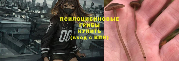 не бодяженный Алзамай