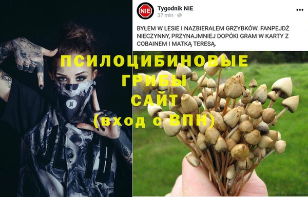 не бодяженный Алзамай