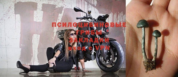не бодяженный Алзамай