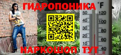 спиды Партизанск