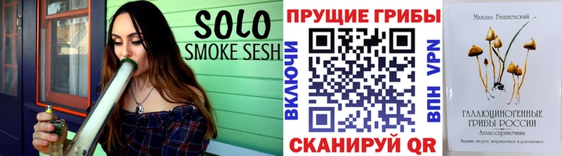Псилоцибиновые грибы Psilocybe Троицк