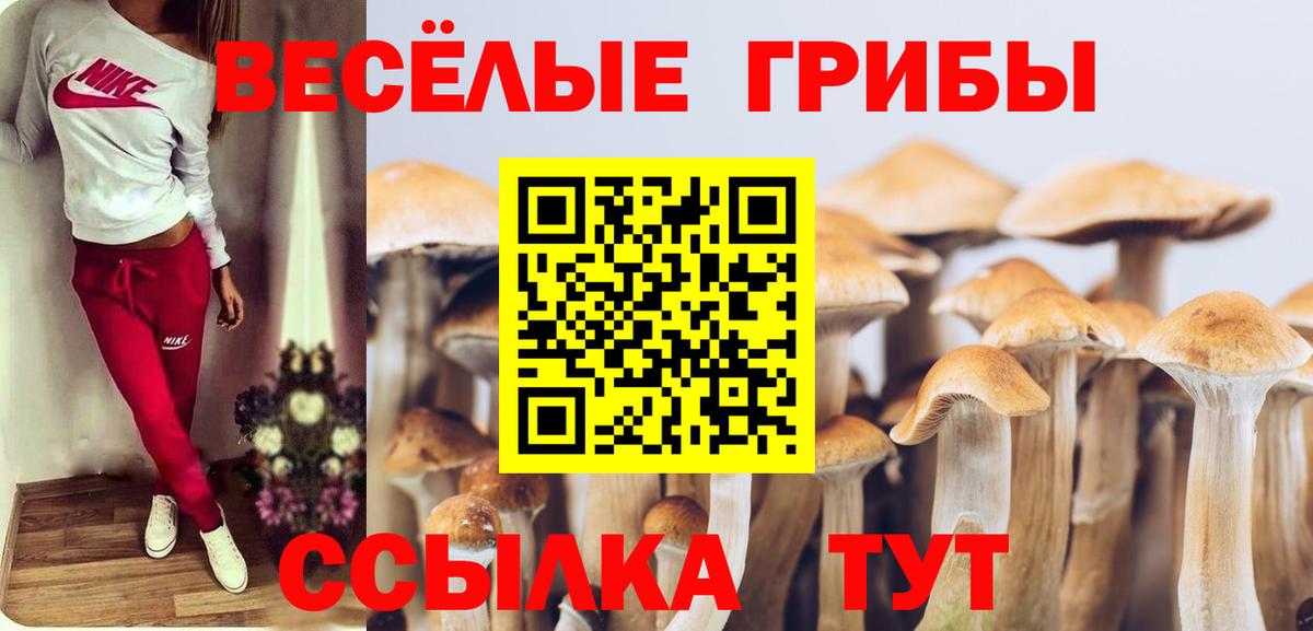 Галлюциногенные грибы мухоморы  Псилоцибиновые грибы ЛСД  Вход с VPN  Троицк 
